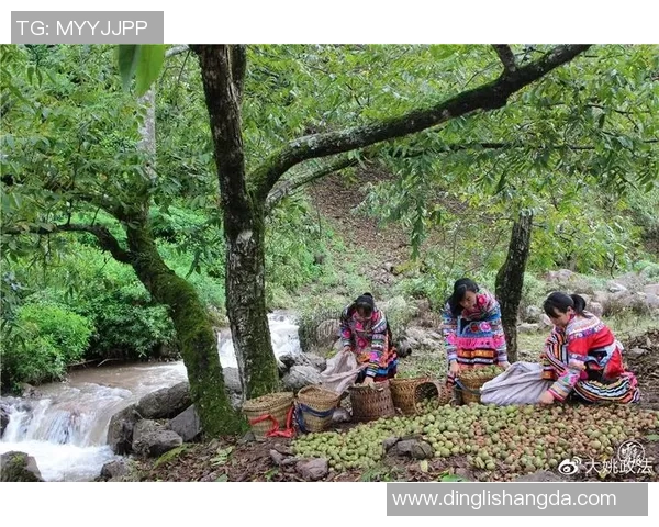 姚明与老虎亲密合照展现人与自然和谐共处的美好瞬间 姚明与老虎亲密合照展现人与自然和谐共处的美好瞬间