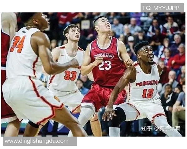 全国体育明星人数排名榜揭示各省市体育发展水平与人才培养情况